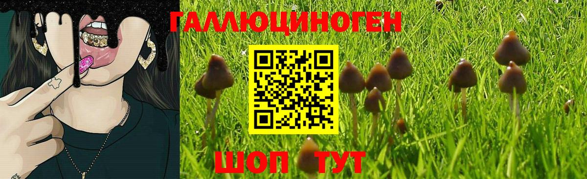 Псилоцибиновые грибы прущие грибы  Вход с VPN  Псилоцибиновые грибы Psilocybe  Кириши 